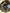 Titanium Sprocket Bolts All Emoto