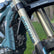 Sirris Fork Tube Decal