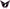 Talaria Sting Rear Fender Decal