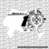 Chrome Hearts Inverted Decal for Ultra Bee Number Plate