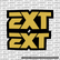 EXT Fork Tube Decal
